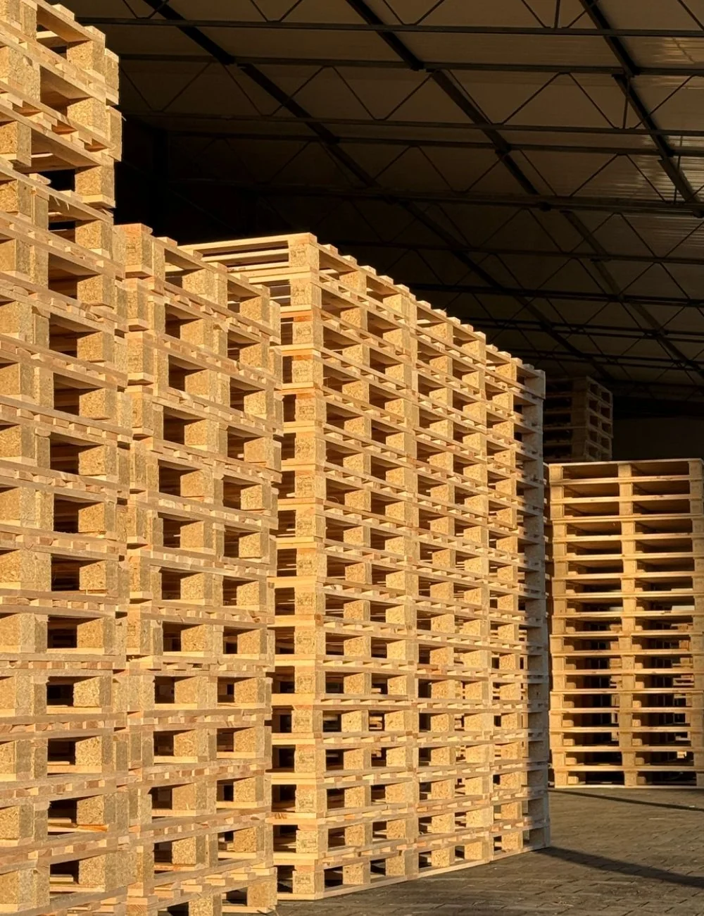 Producent palet drewnianych – palety składowane w hali Oleśnica