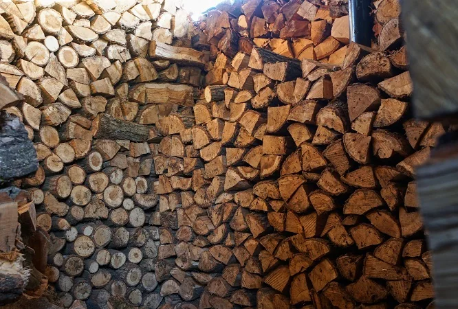 Produkcja i naprawa palet nietypowych w Rzeszowie